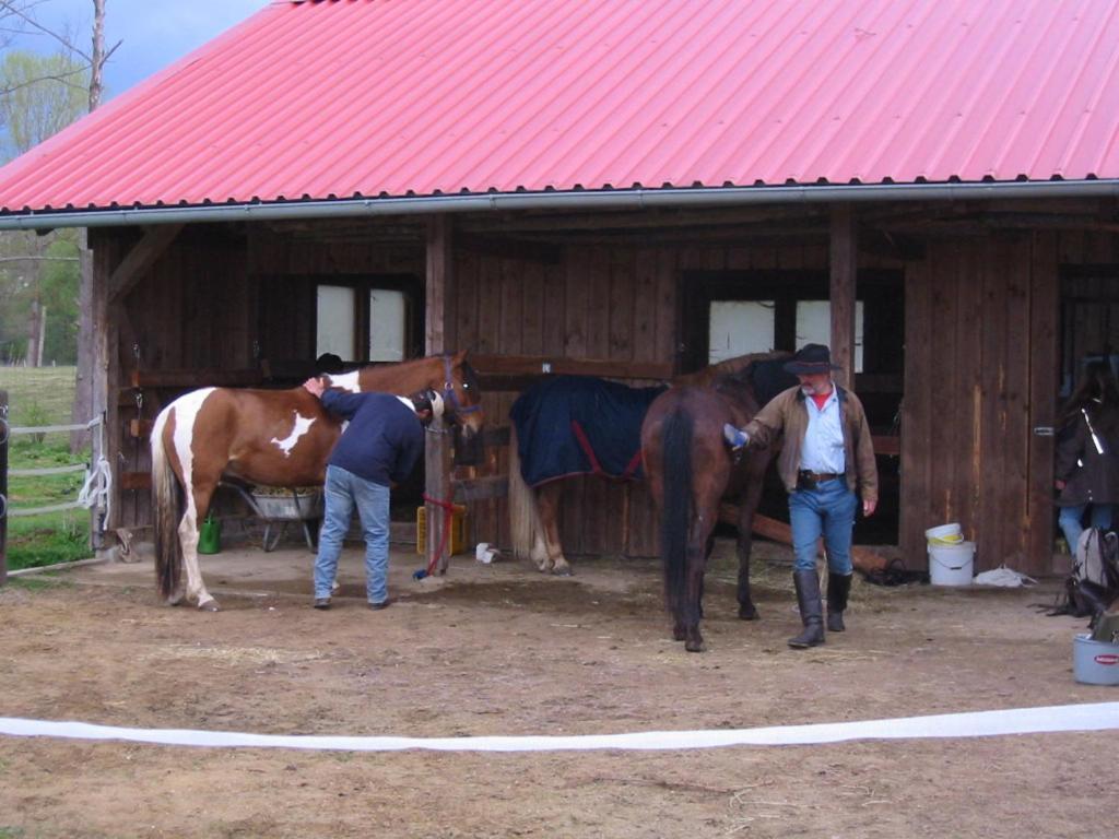 Gasthof Bogenrieder Waidhofen Esterno foto