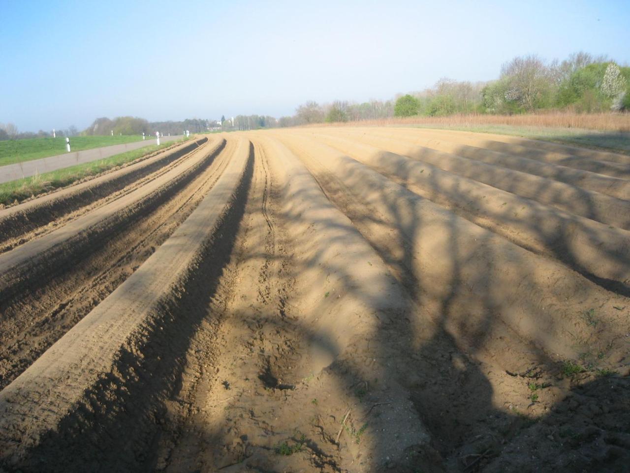 Gasthof Bogenrieder Waidhofen Esterno foto